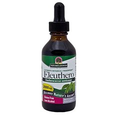 NATURE'S ANSWER 刺五加萃取液 2000mg, 60ml, 1瓶