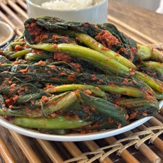 사계절김치 HACCP인증 우리 농산물 전라도 프리미엄 갓김치 1kg 2kg 3kg 5kg 당일발송, 1개