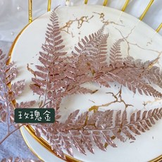 大地農園 不凋姬蕨 日本進口高山羊齒蕨 不凋花材 捧花手腕花 房間佈置胸花桌花背景花材, 玫瑰金(整枝), 玫瑰金