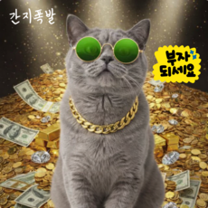 반려동물 변색 없는 UV 도금 금목걸이 3color, 1개, 로즈골드