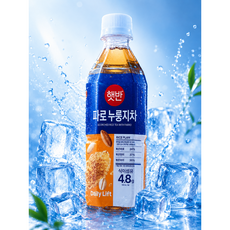 햇반 파로 누룽지차 500ml, 36개