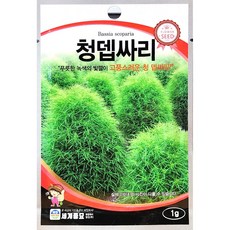 청뎁싸리 1g 26년 세계꽃씨앗, 청뎁싸리1g, 1개
