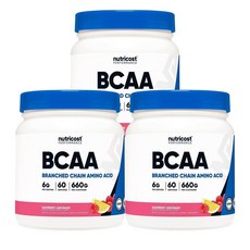 뉴트리코스트 BCAA 파우더 2:1:1 라즈베리 레모네이드, 3개, 660g