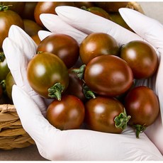 (초특가) 산지직송 당일수확 흑대추 방울 토마토, 1개, 500g