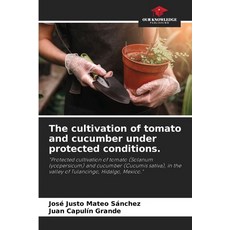 (영문도서)The cultivation of tomato and cucumber under protected conditions. Paperback, Our Knowledge Publishing, English, 9786206815341