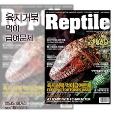 렙타일 매거진11호 (육지거북이 킹왕짱 되는법)