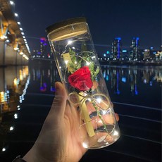 永不褪色的法國玫瑰花 LED 玻璃瓶文具套裝, 紅色永生花
