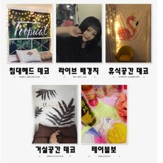 인테리어 침실 거실 벽장식 고양이 패브릭포스터 창문 가리개 소품 데코 가림막커튼