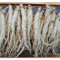 인삼 금산인삼 튀김인삼 실속형 30-35뿌리 꿀절임인삼 인삼튀김용인삼, 세척(0),세척(x), 1개, 750g