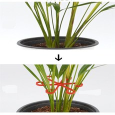 하룸 식물 고정 지지대 4P 줄기링, 그린