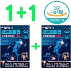 (1+1) (건강기능식품) 연골관절건강 콘드로이친 뮤코다당단백1200 60정x2개 (유통기한 임박 2026.04.21까지, 60정, 2개