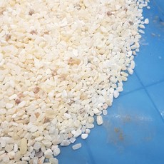 P老闆水族 米黃玉石 水族底砂 園藝造景, 1個, 1000克(1公斤
