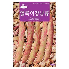 세인화분 얼룩이 강낭콩 70립 - 국산 씨 씨앗 강남콩, 1개
