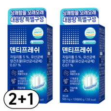 구강유산균 덴티프레쉬 메이제이, 2개, 120회분