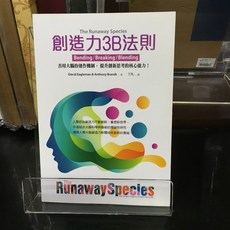 華欣師大店《創造力3B法則》遠流 David Eagleman 心理勵志 9789573287902