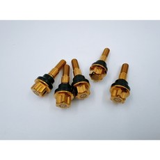 【TiONLY】鈦鴻利 勁戰傳動蓋螺絲 勁戰 傳動蓋, 1個, 金色