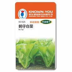 KNOWN-YOU 農友種苗 SV-525 蚵仔白菜種子 家庭園藝 特選種子 台灣種植, 1個