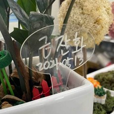 식집사 원형 식물 이름표 꽃이름표 화분장식 수목이름표, 없음