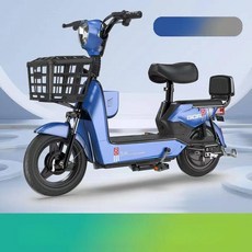샤인픽스토어 2인용전기자전거 자토바이 전동자전거, 48V 45Ah 리튬 235마일, 블루