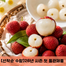 생 리치 여름의맛 프리미엄 열대과일, 1박스, 로얄과 2kg
