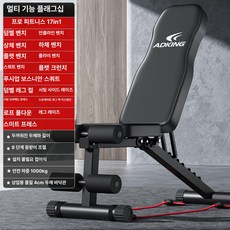로안N 레그익스텐션머신 다리운동기구, 플래그십 17-in-1, 기본 모델명/품번