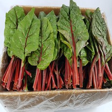 적근대 2kg 야채맘, 1박스