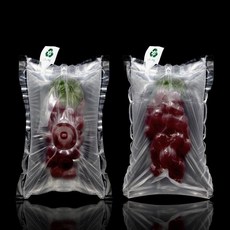 식품 과일 포장 일회용 에어백 지퍼백 보관백 신선도 유지 크린백, 홀형 20x25 (100개)