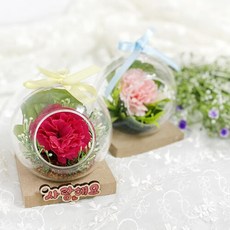 어버이날 엄마 꽃 선물 DIY 카네이션 테라리움 취미키트 인테리어식물, 카네이션 테라리움(MDF 밑받침)