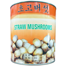 대화 초고버섯 2.8kg, 1개