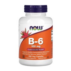 나우푸드 B-6 100mg 캡슐, 1개, 250정