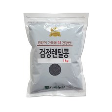 대한농산 검정렌틸콩 1kg 렌틸콩, 1개