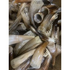 《57健康酮學彙》按摩牛角：健康書籍，穴位按摩教學，牛角工具使用指南，家庭健康護理