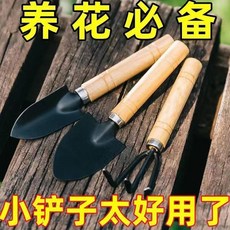 巷月商行 園藝種菜三件套 養花小鐵鏟工具, 1個, 【養花小鐵鏟工具）精緻小巧W,機小鏟【小號1件套】久用易斷