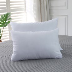 투인투홈 항균 방취 지퍼형 베개솜 (4X6) (5X7), 1개, 화이트