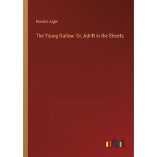 (영문도서) The Young Outlaw. Or Adrift in the Streets Paperback, Outlook Verlag, English, 9783385389434