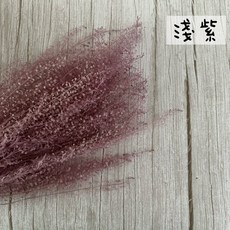 “Be a florist 花藝夢” 永生迷你翠扇(原裝把出售)水燈草 珍珠草 永生花 浮游花 不凋花, 淺紫, 1個