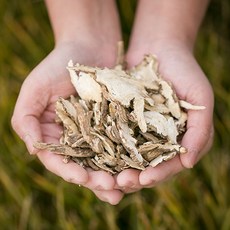 한가람건강원 중국산 건 당귀 효능 약초 약재 200g, 1개