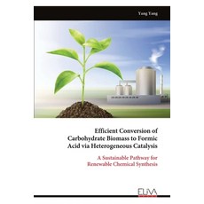 (영문도서)Efficient Conversion of Carbohydrate Biomass to Formic Acid via Heterogeneous Ca... Paperback, Eliva Press, English, 9789999324243