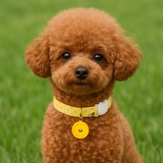 하니펫 강아지 고양이 예쁜 도트 방울 목걸이, 1개, 옐로우