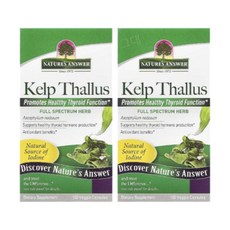 네이쳐스엔서 켈프 엽상체 75mg 100 베지 캡, 2개, 100정