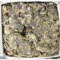 말린 우뭇가사리 1Kg, 1개