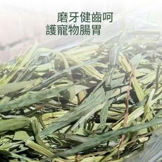 燕麥草 小麥草 苜蓿草 百慕達草 - 磨牙 健齒 護腸胃 高纖寵物牧草, 1個