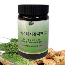 국산 여주 돼지감자환 여주환, 1개, 160g