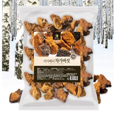 차가버섯 건재 원물 1KG, 1개