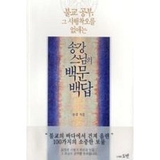 불교 공부 그 시행착오를 없애는송강스님의 백문백답, 도반