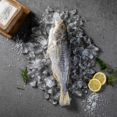 속초중앙시장 [3+1] 동해 반건조 부세 조기(20cm이상), 단품, 단품