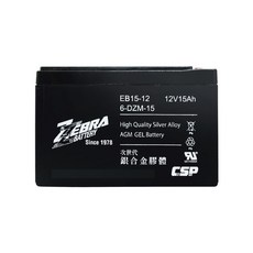 CSP 進煌 銀合金膠體電動車電池, 1個, 1個裝