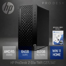 HP 프로데스크 2 G1a C27L5AT R5-8500G 가정용 사무용 인강용 데스크탑 PC, 블랙, 512GB, 64GB, WIN11 Home