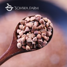 국산 볶은 깐 메밀차 500g 거피메밀 차, 1개, 1개입