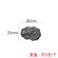 조개화석 암모나이트 화석 수지 액세서리 시뮬레이션 공룡 화석 고고학 액세서리 냉장고, h1-03